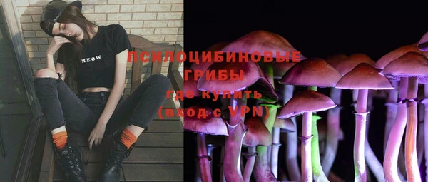 мяу мяу мука Елизово