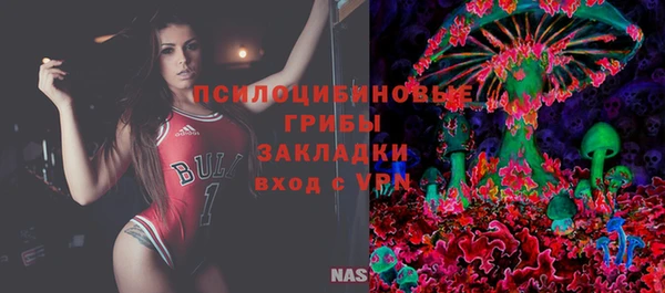 spice Ельня